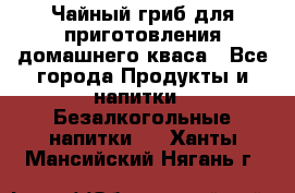 Чайный гриб для приготовления домашнего кваса - Все города Продукты и напитки » Безалкогольные напитки   . Ханты-Мансийский,Нягань г.